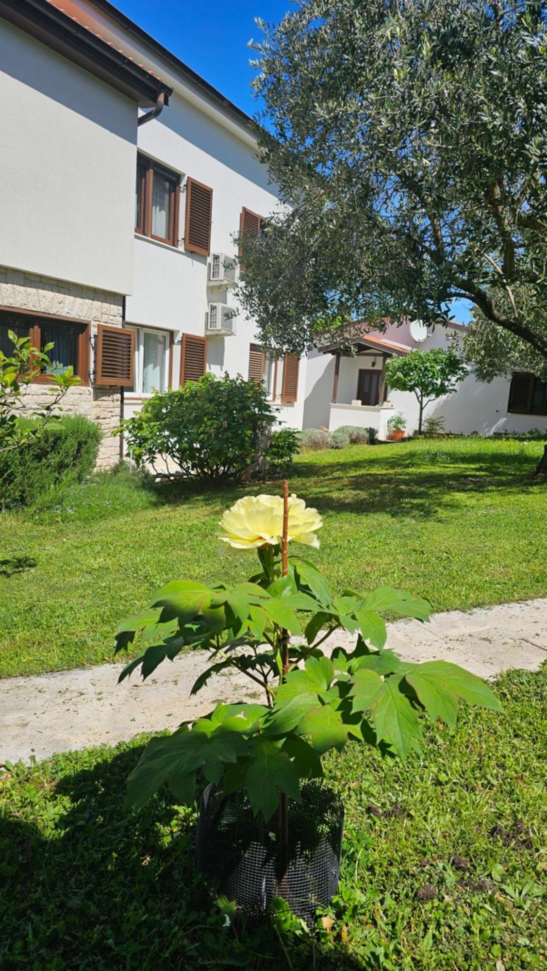 Apartments Dina Пула Экстерьер фото
